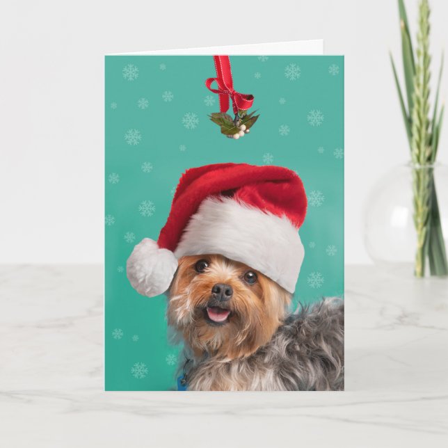 Merry Christmas For Anyone Cute Yorkie Dog Holiday Card (Front)