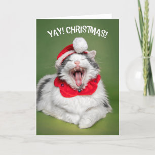 Merry Christmas For Anyone Happy Cat in Hat  Holiday Card