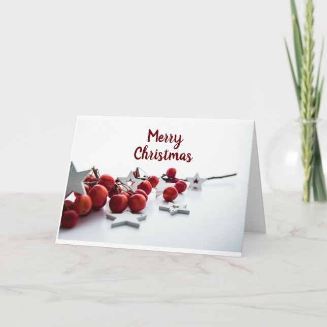 *MERRY CHRISTMAS* FOR ANYONE THIS YEAR! HOLIDAY  CARD (Front)