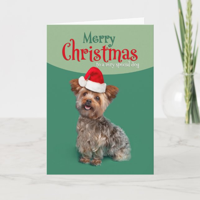 Merry Christmas For Dog Cute Yorkie in Santa Hat Holiday Card (Front)