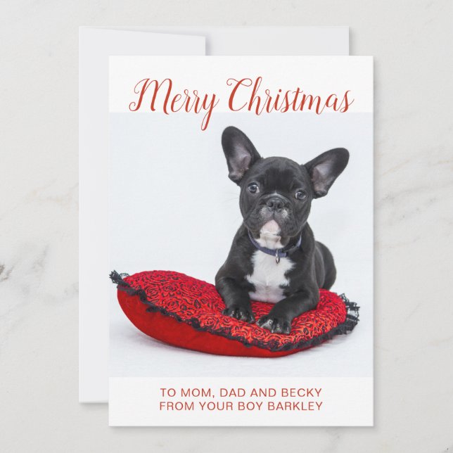 Merry Christmas French Bulldog On Pillow To Family Holiday Card (Front)