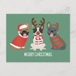 Merry Christmas French Bulldogs Postcard