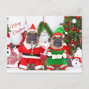 Merry Christmas French Bulldogs Santa and Elf  Holiday Postcard