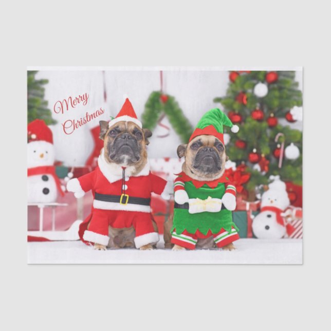 Merry Christmas French Bulldogs Santa and Elf  Tissue Paper (Front)