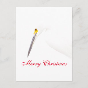 Merry Christmas from an Egret Holiday Postcard