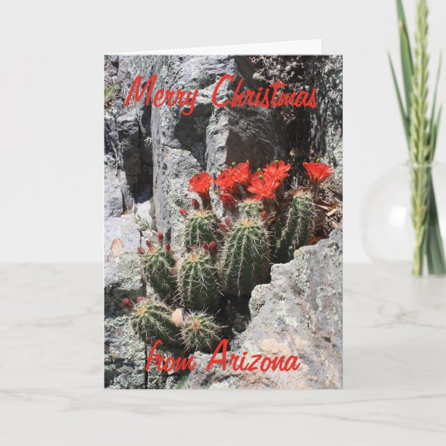 Merry Christmas from Arizona Holiday Card (Front)