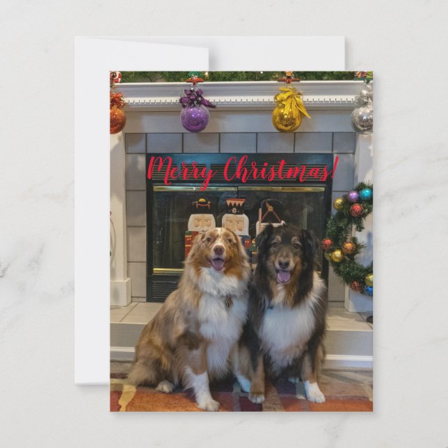 Merry Christmas from Aussies Holiday Card (Front)