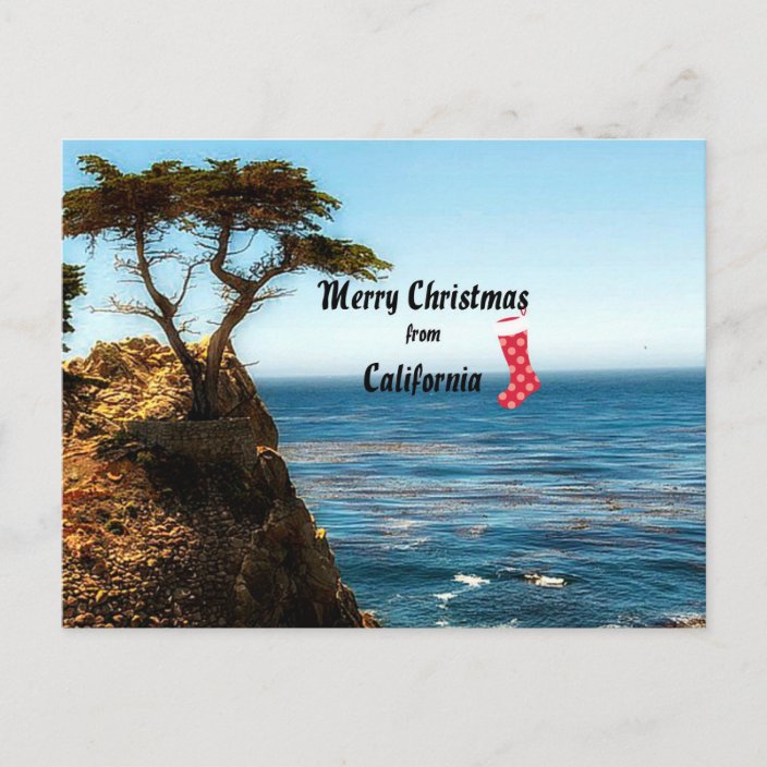 Merry Christmas from California Holiday Postcard Zazzle.co.uk