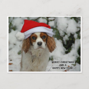 Merry Christmas from Charly Holiday Postcard