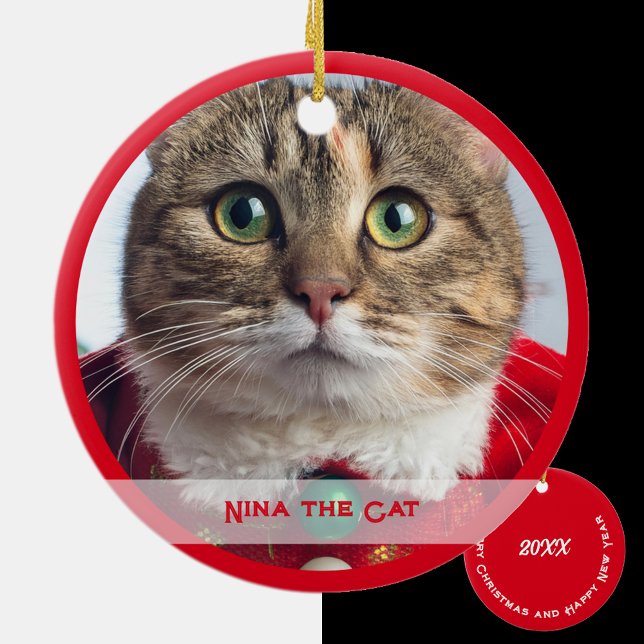 Merry Christmas from Family Cat Ceramic Tree Decoration (Creator Uploaded)