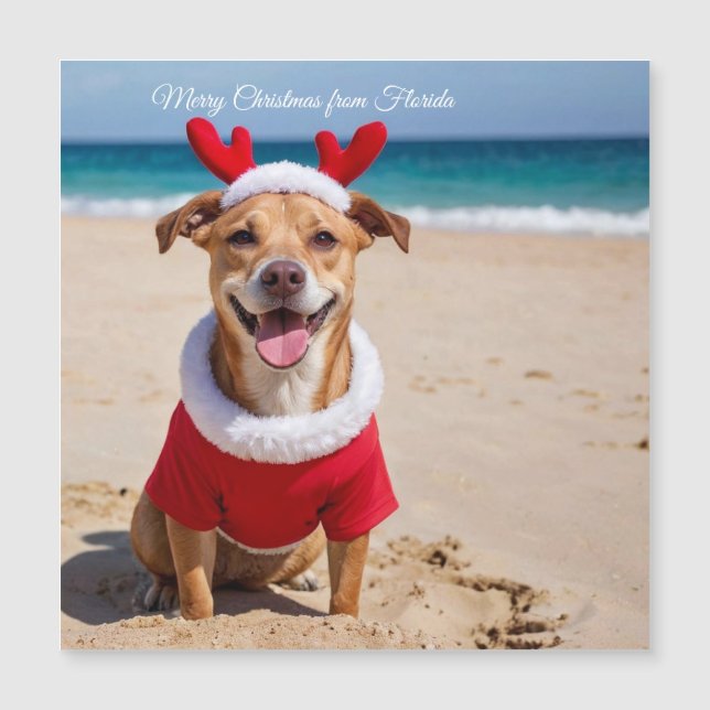 Merry Christmas from Florida Beach (Front)