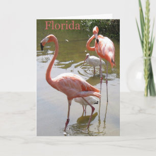Merry Christmas from Florida Holiday Card