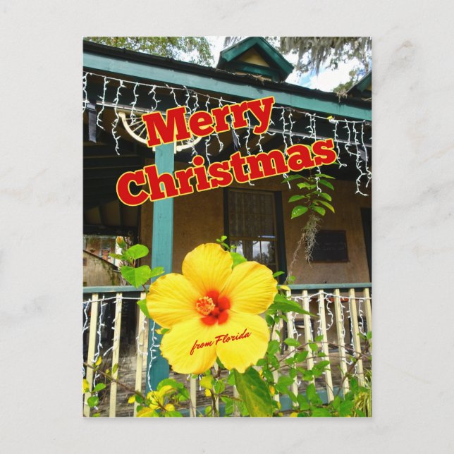 Merry Christmas from Florida Tropical Hibiscus Postcard (Front)