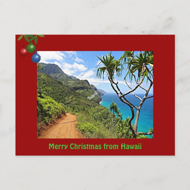 Merry Christmas from Hawaii Holiday Postcard (Front)
