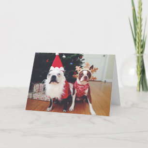 Merry Christmas from Hogwarts & Clementine Holiday Card