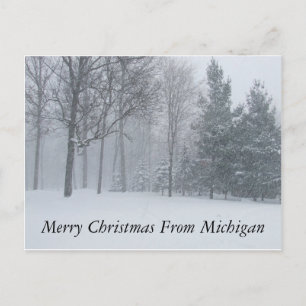 Merry Christmas from Michigan Winter Snow Postca Holiday Postcard