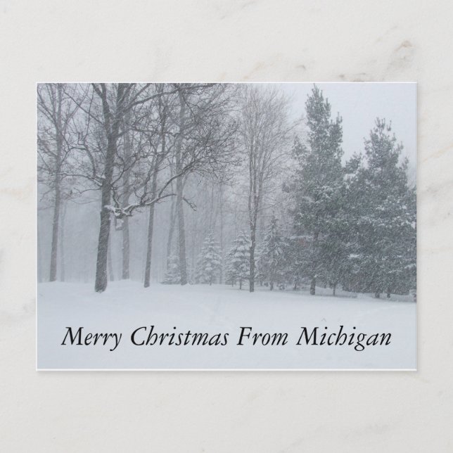 Merry Christmas from Michigan Winter Snow Postca Holiday Postcard (Front)
