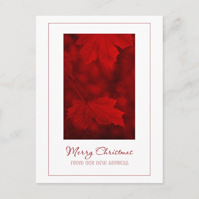 Merry Christmas From New Address Postcard (Front)