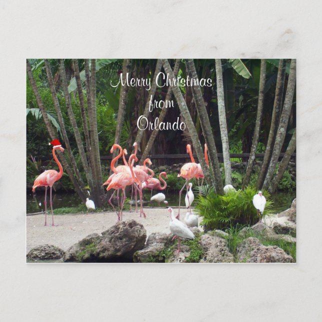 Merry Christmas from Orlando - Pink Flamingos, Holiday Postcard (Front)