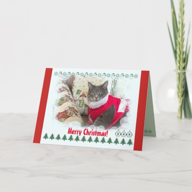 Merry Christmas from pretty cat Holiday Card (Front)