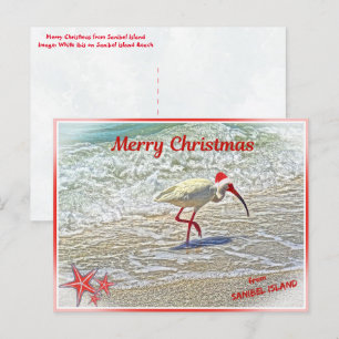 Merry Christmas from Sanibel Island FL White Ibis  Holiday Postcard