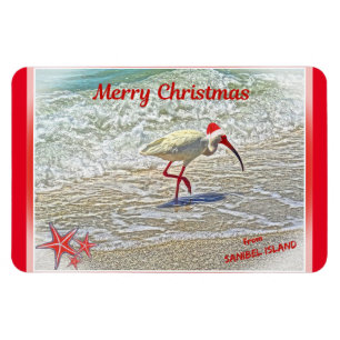 Merry Christmas from Sanibel Island FL White Ibis  Magnet