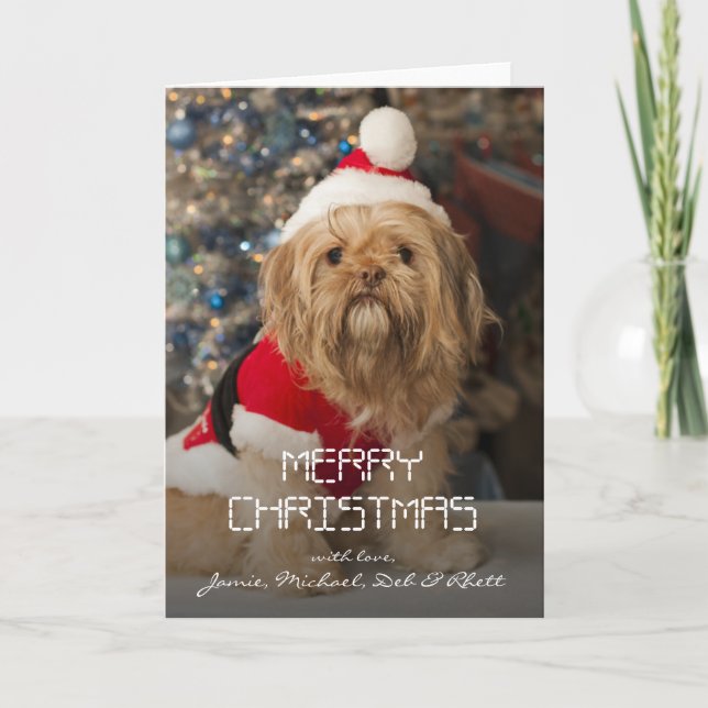Merry christmas from Santa paws Holiday Card (Front)