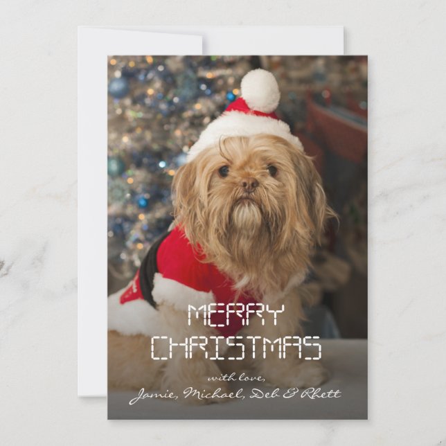 Merry christmas from Santa paws Holiday Card (Front)