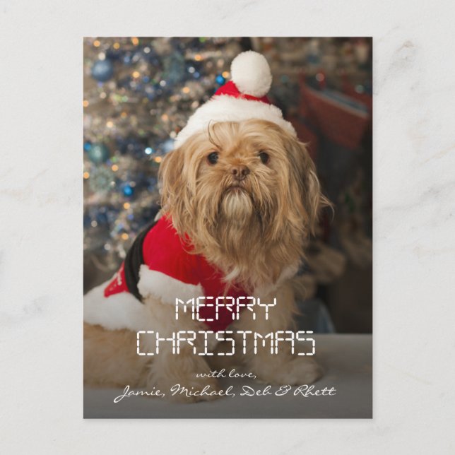 Merry christmas from Santa paws Holiday Postcard (Front)