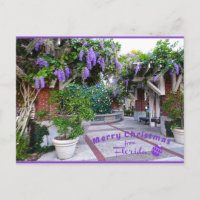 Merry Christmas from Sunny Florida Purple Flowers