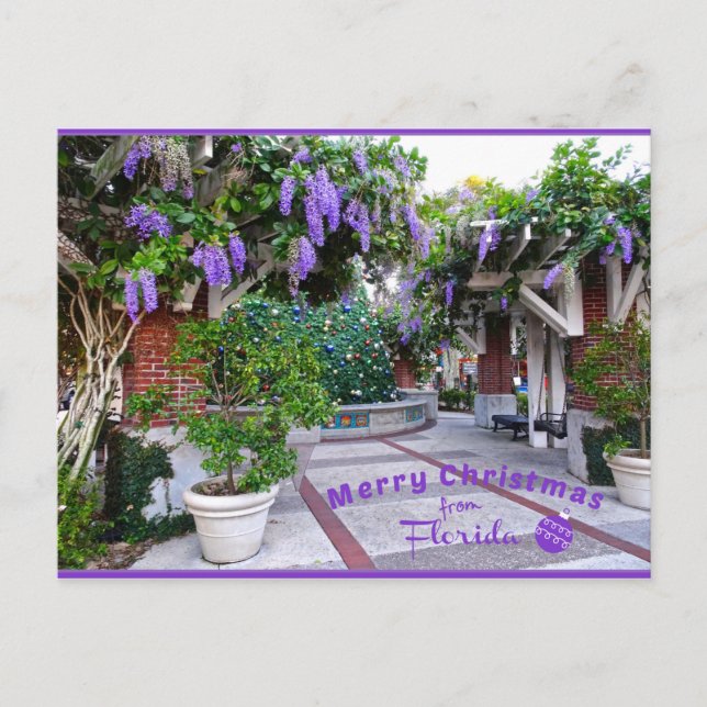 Merry Christmas from Sunny Florida Purple Flowers Postcard (Front)