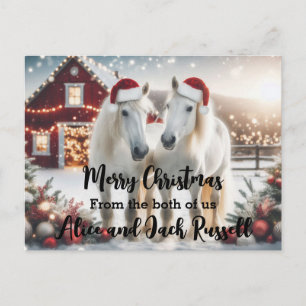 Merry Christmas from the both of us white horses Postcard