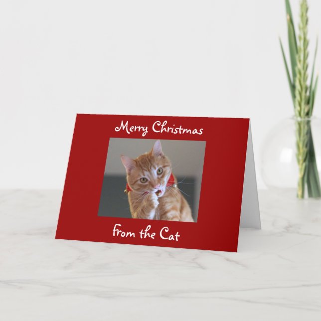 Merry Christmas From the Cat Holiday Card (Front)