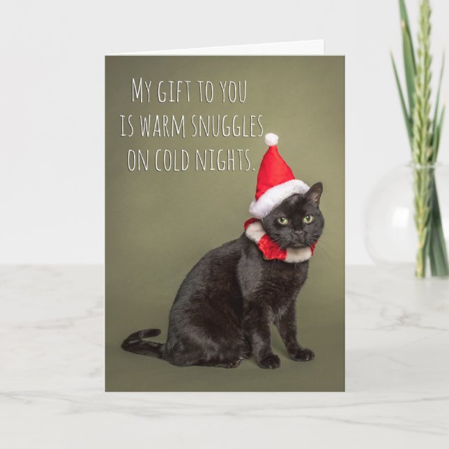 Merry Christmas From The Cat Humour  Holiday Card (Front)