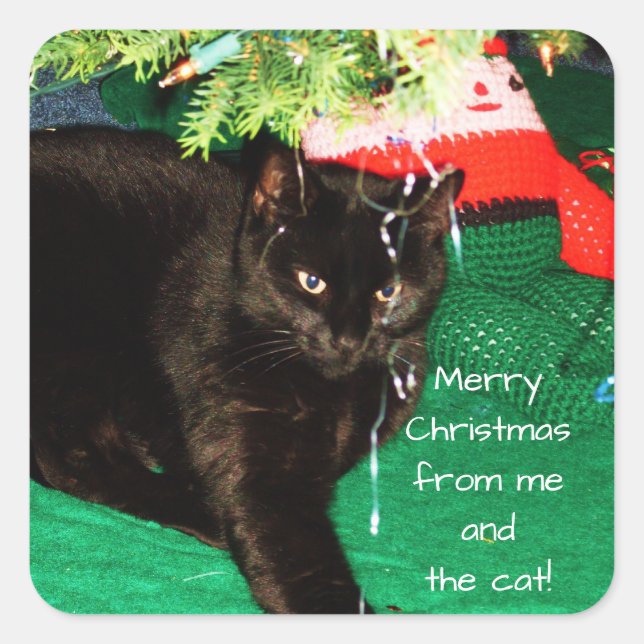MERRY CHRISTMAS FROM THE CAT stickers (Front)