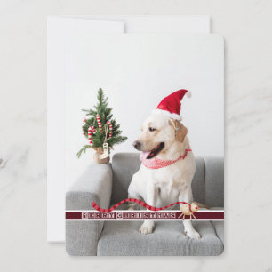 Merry Christmas From the Dog Customisable Holiday Card