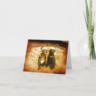 Merry Christmas From The Farm Dogs Holiday Card