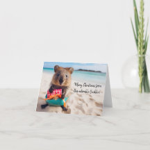 Merry Christmas from this Adorable Quokka - 