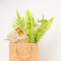 Merry Christmas From To Hand Lettered Gold Black