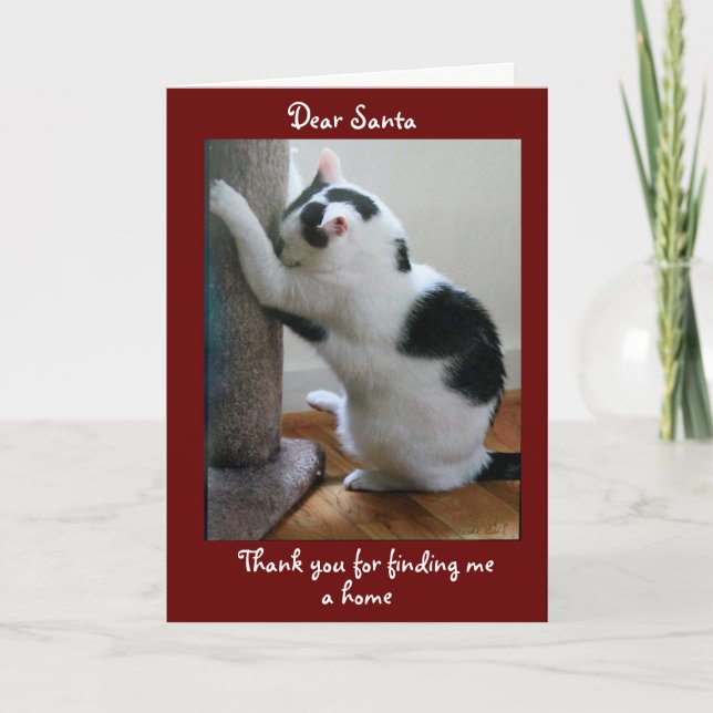 Merry Christmas from Your Adopted Cat Card (Front)