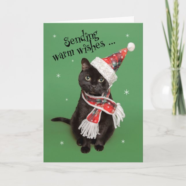 Merry Christmas Funny Cat in Hat and Scarf Holiday Card (Front)