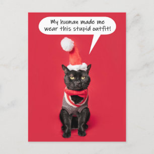 Merry Christmas Funny Cat in Holiday Outfit Postcard