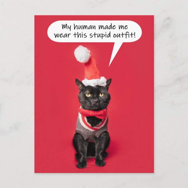 Merry Christmas Funny Cat in Holiday Outfit Postcard (Front)