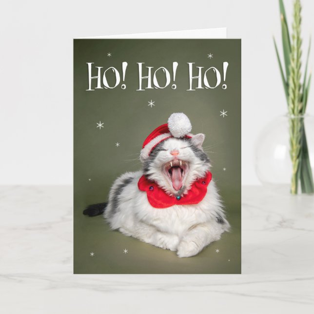 Merry Christmas Funny Cat Saying Ho Ho Ho Holiday Card (Front)