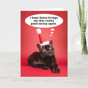 Merry Christmas Funny Cat Thinking of Catnip Humou Holiday Card