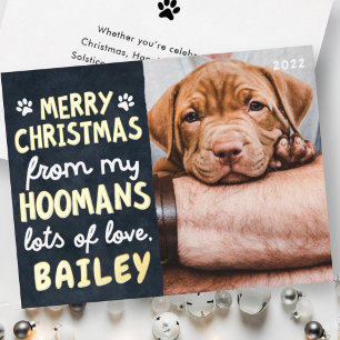 Merry Christmas Funny Modern Pet Custom Photo Foil Holiday Card