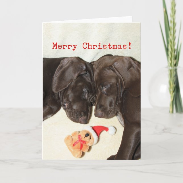 Merry Christmas German Pointer Sisters Holiday Card (Front)