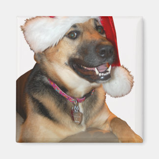 Merry Christmas German Shepherd Magnet