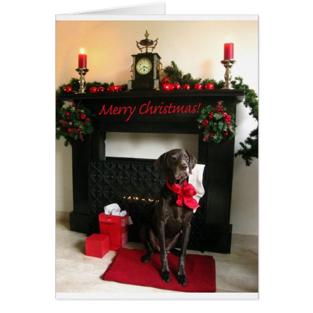 Merry Christmas german shorthaired pointer (Front)