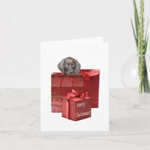 Merry Christmas german shorthaired pointer Holiday Card